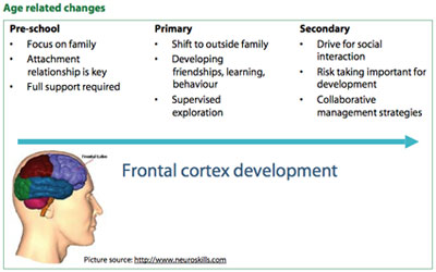 FrontCortexDevelopmentSmall.jpg