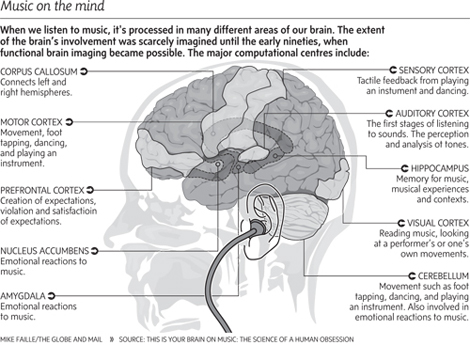 MusicBrain.jpg