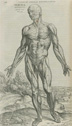 VesaliusScienceThinking.jpg